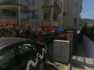 a car parked in front of a building with red flowers at Tedi in Kranevo