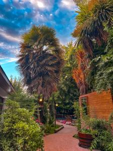 un jardin avec des palmiers et un sentier dans l'établissement Barros Wellness & Spa Resort Boutique, à Calle Larga