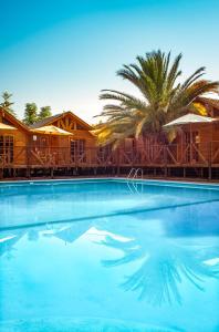 una gran piscina con una palmera en el fondo en Barros Wellness & Spa Resort Boutique en Calle Larga