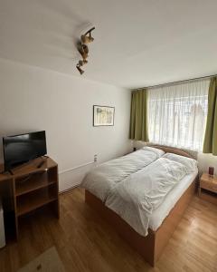 a bedroom with a bed and a flat screen tv at Georgiana Apartments 2 in Timişoara