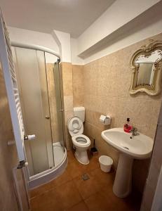 a bathroom with a shower and a toilet and a sink at Georgiana Apartments 2 in Timişoara