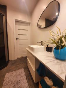 W łazience znajduje się umywalka i lustro. w obiekcie Apartament na Wodnej w mieście Głogówek