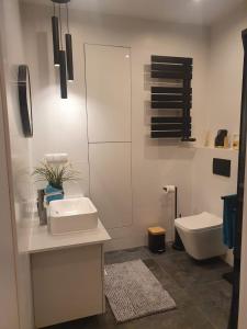 biała łazienka z umywalką i toaletą w obiekcie Apartament na Wodnej w mieście Głogówek