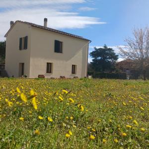 a house in a field of yellow flowers at Casa di zio in Monticiano