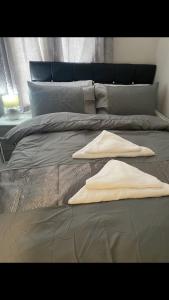 ein Bett mit zwei Kissen darüber in der Unterkunft THE CRESCENT in Rhyl