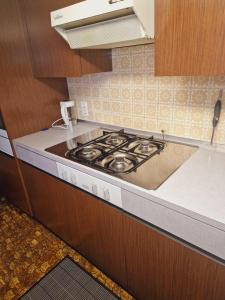 a kitchen with a stove top oven in a kitchen at Sehr ruhiger Ort in Ebnat