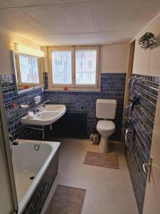 La salle de bains est pourvue d'une baignoire, d'un lavabo et de toilettes. dans l'établissement Sehr ruhiger Ort, à Ebnat