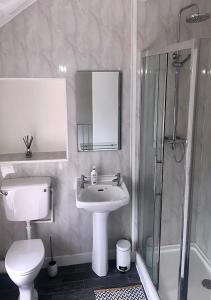 a bathroom with a toilet and a sink and a shower at Bee Hive Merthyr Tydfil in Merthyr Tydfil