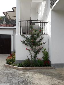 una planta con flores rosas al lado de un edificio en Kuća za odmor Varoš, en Vrlika