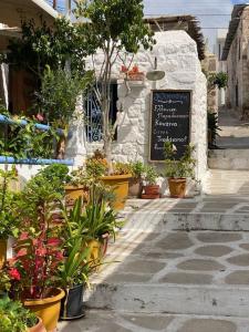 a flower shop with potted plants and a sign at Psamathe Aegina Apartments in Aegina Town