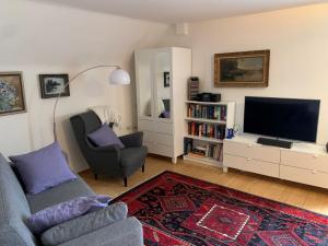 a living room with a couch and a television at Gästehaus Stöhr - Ihre Ferienwohnungen mit großem Garten und direktem Seezugang in Öhningen