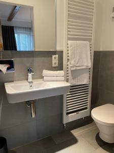 ein Badezimmer mit einem weißen Waschbecken und einem WC in der Unterkunft Landhotel Schlappinger-Hof in Reisbach