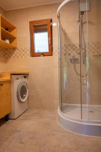 a bathroom with a shower and a washing machine at Hiša Breza in Mozirje