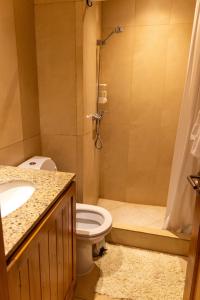 a bathroom with a toilet and a shower and a sink at Casa Farellones Lower Apartment in Farellones