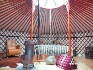 Fotografie z fotogalerie ubytování Todo Se Pasa Yurt 2 v destinaci Sauwerd + 17 fotografií
