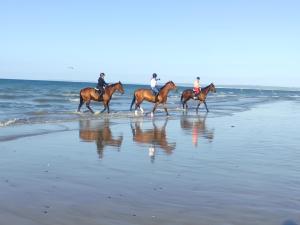 um grupo de pessoas andando a cavalo na praia em Studio les jardins de la brèche em Hermanville-sur-Mer