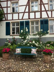 a blue bench in front of a house with flowers at Altes Winzerhaus Lenz in Pünderich