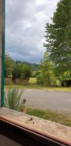 einen Blick auf eine Straße aus einem Fenster mit einer Pflanze in der Unterkunft Villa Bruna in Poggibonsi