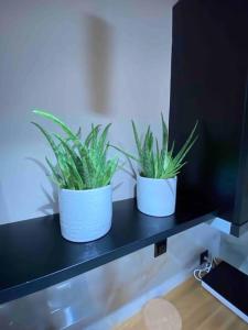 two plants in white pots on a black shelf at Dream home Serres romantic living in Serres