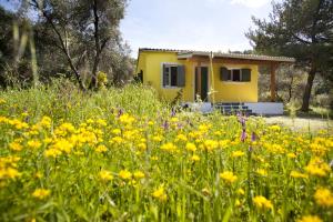 a yellow house in a field of flowers at Handmade house in Acharavi