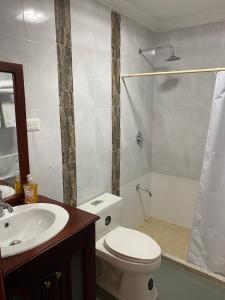 a bathroom with a toilet and a sink and a shower at El Castillo de Nallig in Gualaceo