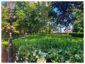 Сад в Grich Top Location Apartment