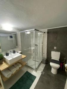 a bathroom with a shower and a toilet and a sink at Sweet Home Serres premium living in Serres