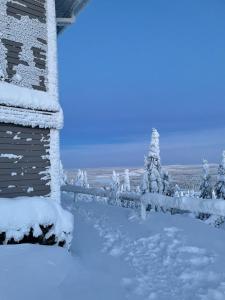 un cortile coperto da neve con alberi e un edificio di Tunturihuoneisto LAAKEUS a Syöte