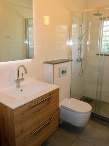W łazience znajduje się umywalka, toaleta i prysznic. w obiekcie Kaya Venus Bonaire w mieście Kralendijk
