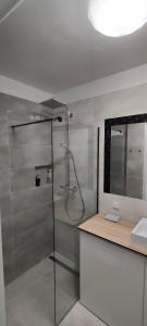 een badkamer met een douche, een wastafel en een spiegel bij Apartament na Malczewskiego in Międzyrzecz