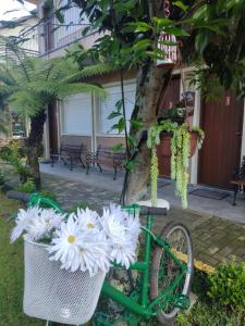 una bicicletta verde con fiori bianchi in un cesto di Pousada Caminho das Rosas - Gramado a Gramado