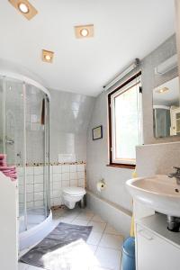 ein Bad mit einem Waschbecken, einem WC und einer Dusche in der Unterkunft Ferienhaus Katharina in Malschwitz