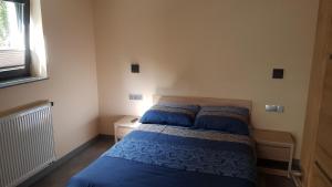 een slaapkamer met een bed met blauwe lakens en een raam bij Villa u Przyjaciół in Rewa