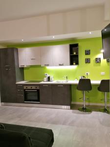 una cocina con paredes verdes y electrodomésticos de acero inoxidable en Le 2M Apartment en Bolonia