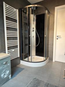 a shower with a glass door in a bathroom at Chambre d'hôtes Lanonweye in Waimes