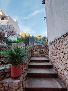 Fotografie z fotogalerie ubytování Apartments Oliva v Podgoře