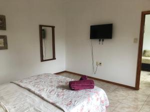 蒙特卡洛的住宿－Departamento de Magui en Montecarlo，一间卧室,配有一张带紫包的床