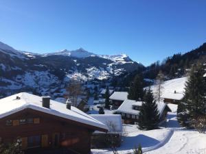 Grindelwald-Sunneblick kapag winter