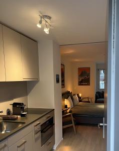 a kitchen and living room with a bed in the background at Swiss Art Apartment City Center in Zürich