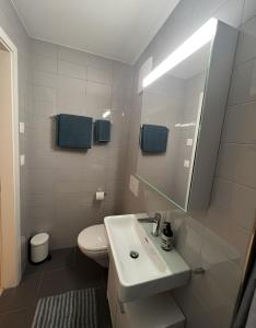 La salle de bains est pourvue d'un lavabo, de toilettes et d'un miroir. dans l'établissement Swiss Art Apartment City Center, à Zurich