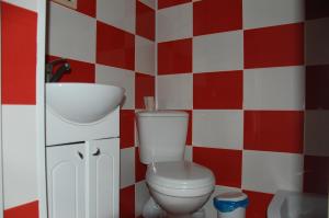 uma casa de banho em xadrez vermelha e branca com WC e lavatório. em Dalekobiynyk em Uzyn