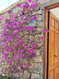 um ramo de flores roxas numa parede de pedra ao lado de uma porta em Il piccolo Sogno in costiera Amalfitana em Conca dei Marini