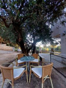 Fotografie z fotogalerie ubytování Apartments Oliva v Podgoře