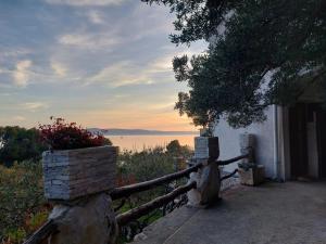 Příroda nedaleko apartmánu + 4 fotografie