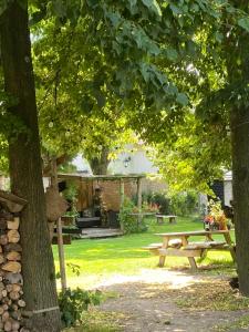 einen Picknicktisch unter einem Baum im Garten in der Unterkunft Hofstede klein Rozendaal, Tuinhuis in Asch