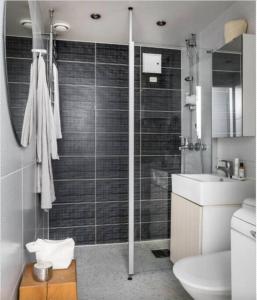 a bathroom with a shower and a toilet and a sink at Scandinavian 2-rooms apartment City Center in Helsinki +5 photos
