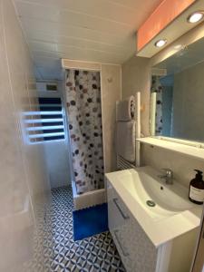ein Bad mit einem Waschbecken und einer Dusche in der Unterkunft Chalet de Provence in Aix-en-Provence