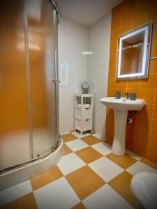 een badkamer met een douche en een wastafel bij Mi Refugio in Arenas de San Pedro