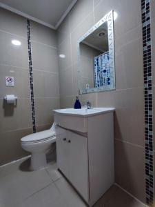 a bathroom with a sink and a toilet and a mirror at La Galería B&B in Valparaíso