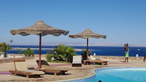 ośrodek z basenem, parasolami i krzesłami oraz basenem w obiekcie Half Moon - Sunny Dahab resort w mieście Dahab